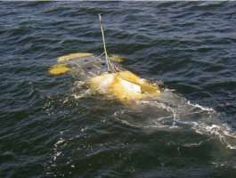 Autonomous Underwater Vehicle Simulator